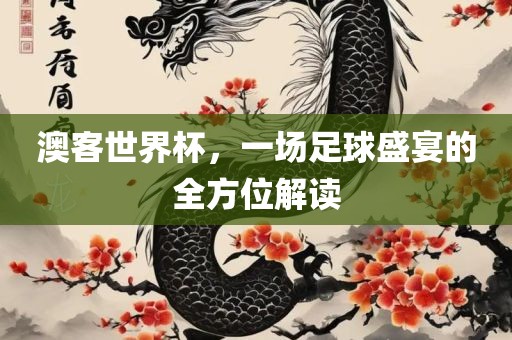 澳客世界杯，一场足球盛宴的全方位解读