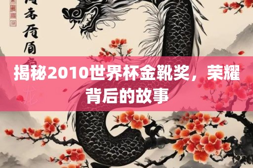 揭秘2010世界杯金靴奖，荣耀背后的故事