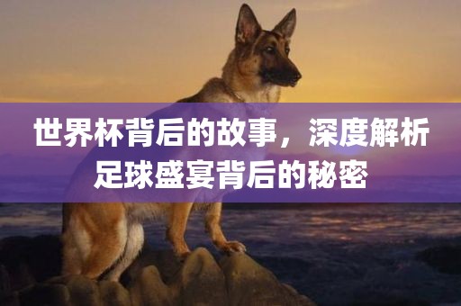 世界杯背后的故事，深度解析足球盛宴背后的秘密