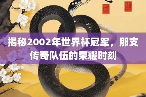 揭秘2002年世界杯冠军，那支传奇队伍的荣耀时刻