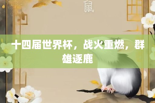 十四届世界杯，战火重燃，群雄逐鹿