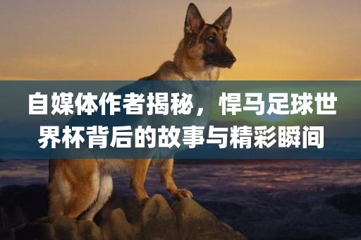 自媒体作者揭秘，悍马足球世界杯背后的故事与精彩瞬间