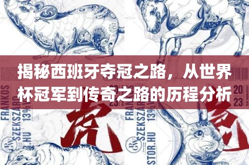 揭秘西班牙夺冠之路，从世界杯冠军到传奇之路的历程分析