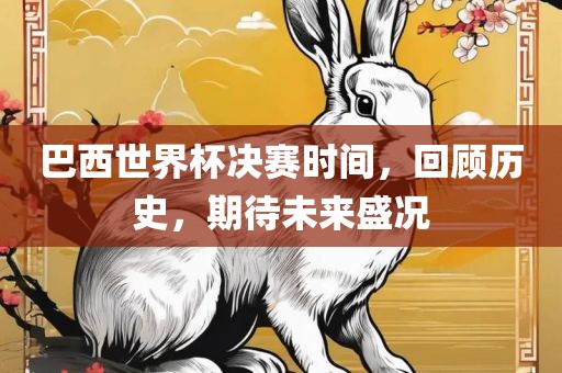 巴西世界杯决赛时间，回顾历史，期待未来盛况