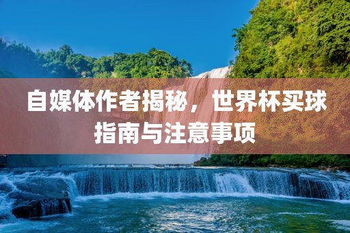 自媒体作者揭秘，世界杯买球指南与注意事项