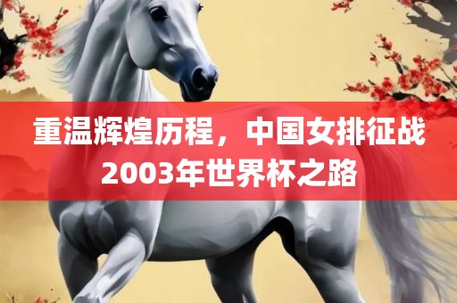 重温辉煌历程，中国女排征战2003年世界杯之路