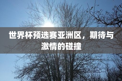 世界杯预选赛亚洲区，期待与激情的碰撞