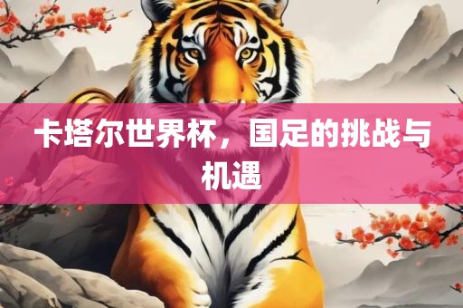 卡塔尔世界杯，国足的挑战与机遇