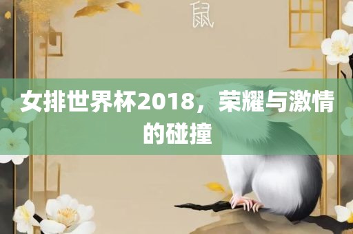 女排世界杯2018，荣耀与激情的碰撞