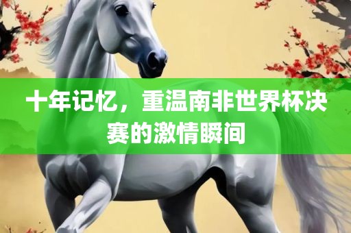 十年记忆，重温南非世界杯决赛的激情瞬间