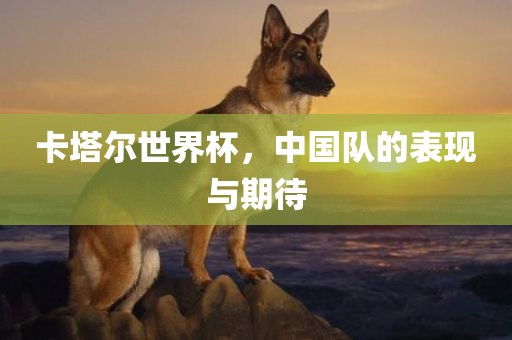 卡塔尔世界杯，中国队的表现与期待