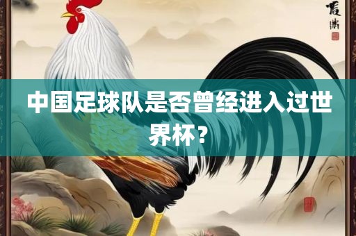 中国足球队是否曾经进入过世界杯？