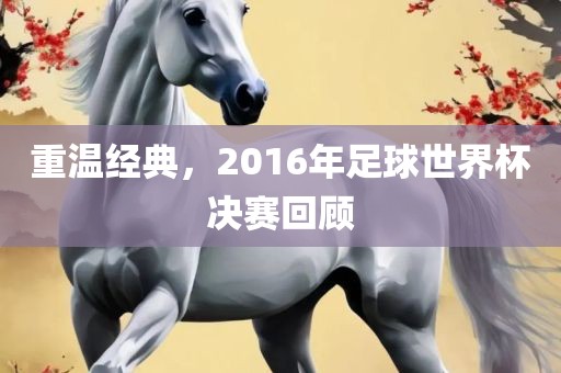 重温经典，2016年足球世界杯决赛回顾
