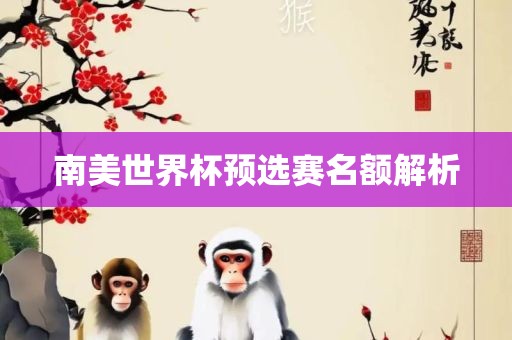 南美世界杯预选赛名额解析