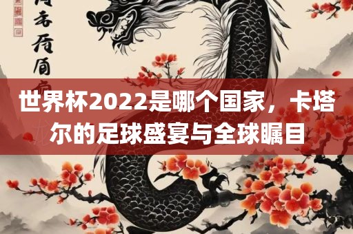 世界杯2022是哪个国家，卡塔尔的足球盛宴与全球瞩目