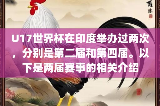 U17世界杯在印度举办过两次，分别是第二届和第四届。以下是两届赛事的相关介绍