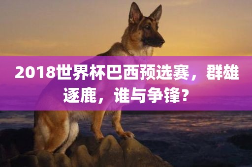 2018世界杯巴西预选赛，群雄逐鹿，谁与争锋？