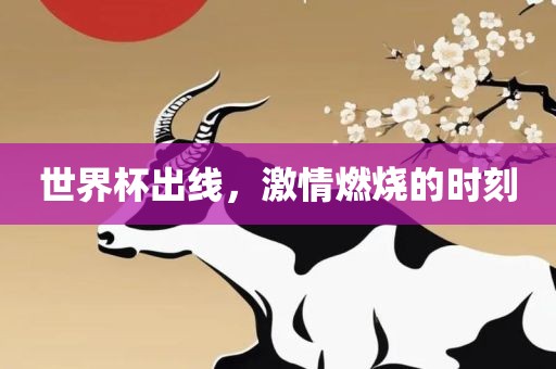 世界杯出线，激情燃烧的时刻