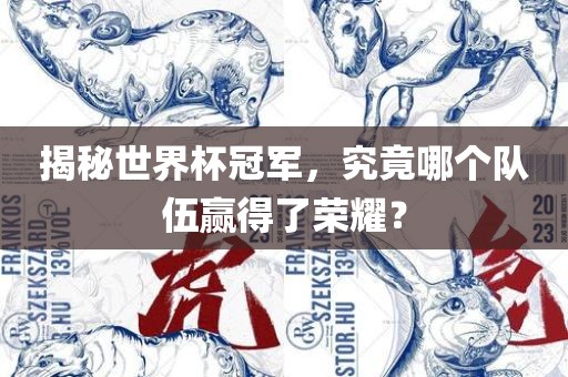 揭秘世界杯冠军，究竟哪个队伍赢得了荣耀？