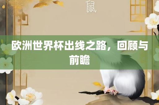 欧洲世界杯出线之路，回顾与前瞻