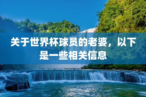 关于世界杯球员的老婆，以下是一些相关信息