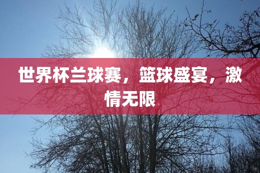 世界杯兰球赛，篮球盛宴，激情无限