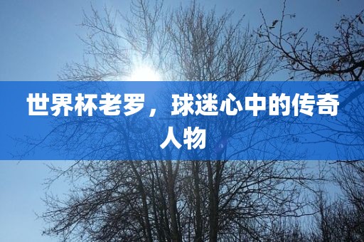 世界杯老罗，球迷心中的传奇人物