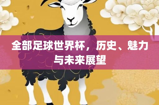 全部足球世界杯，历史、魅力与未来展望