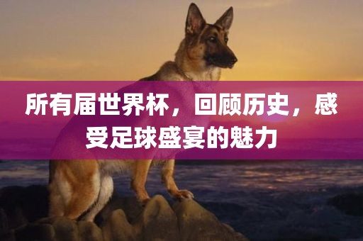 所有届世界杯，回顾历史，感受足球盛宴的魅力