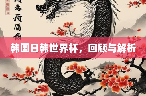 韩国日韩世界杯，回顾与解析