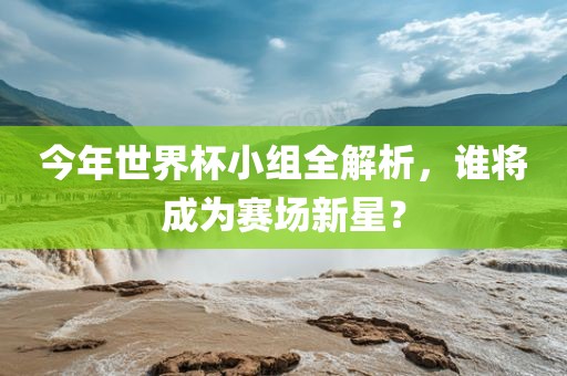 今年世界杯小组全解析，谁将成为赛场新星？
