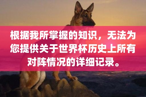 根据我所掌握的知识，无法为您提供关于世界杯历史上所有对阵情况的详细记录。