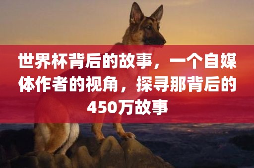 世界杯背后的故事，一个自媒体作者的视角，探寻那背后的450万故事