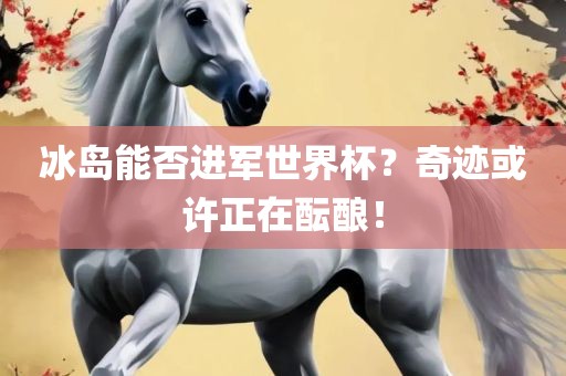 冰岛能否进军世界杯？奇迹或许正在酝酿！