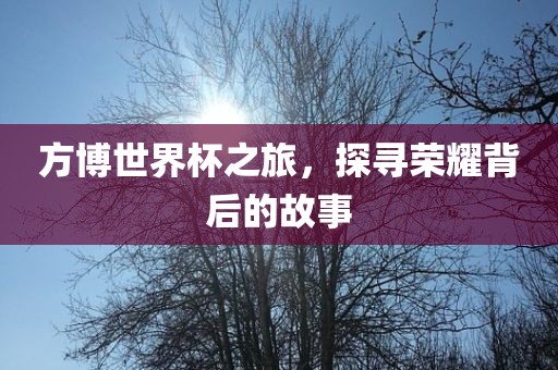 方博世界杯之旅，探寻荣耀背后的故事