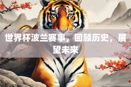 世界杯波兰赛事，回顾历史，展望未来