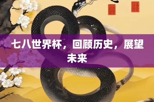 七八世界杯，回顾历史，展望未来