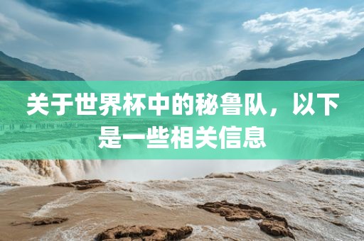 关于世界杯中的秘鲁队，以下是一些相关信息