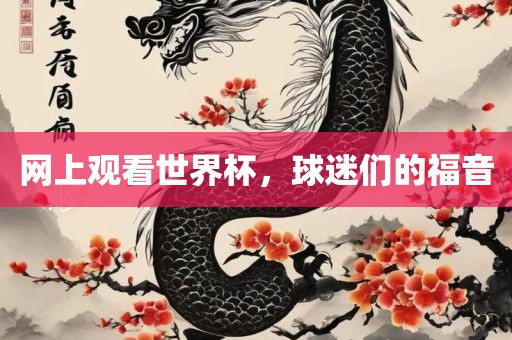 网上观看世界杯，球迷们的福音