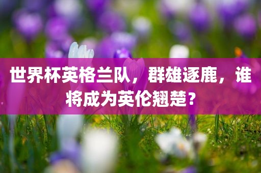 世界杯英格兰队，群雄逐鹿，谁将成为英伦翘楚？