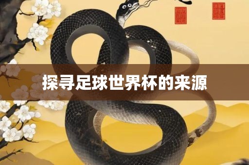 探寻足球世界杯的来源
