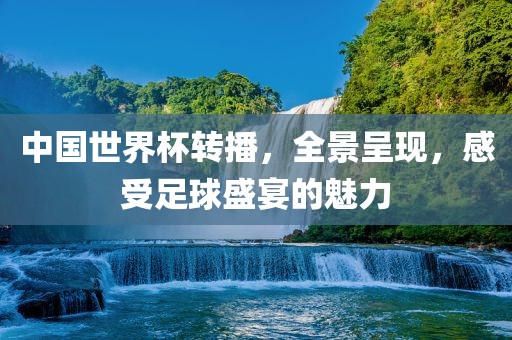 中国世界杯转播，全景呈现，感受足球盛宴的魅力