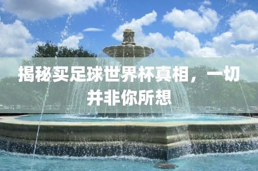 揭秘买足球世界杯真相，一切并非你所想