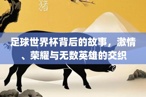 足球世界杯背后的故事，激情、荣耀与无数英雄的交织
