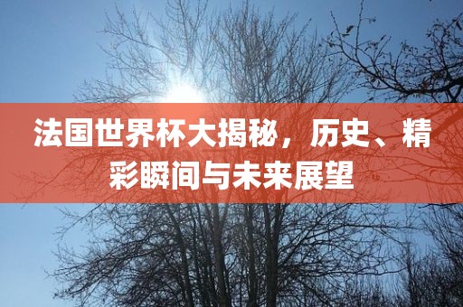 法国世界杯大揭秘，历史、精彩瞬间与未来展望
