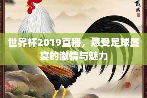 世界杯2019直播，感受足球盛宴的激情与魅力