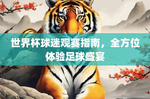 世界杯球迷观赛指南，全方位体验足球盛宴