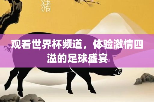 观看世界杯频道，体验激情四溢的足球盛宴