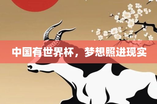 中国有世界杯，梦想照进现实