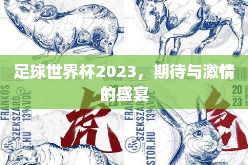 足球世界杯2023，期待与激情的盛宴